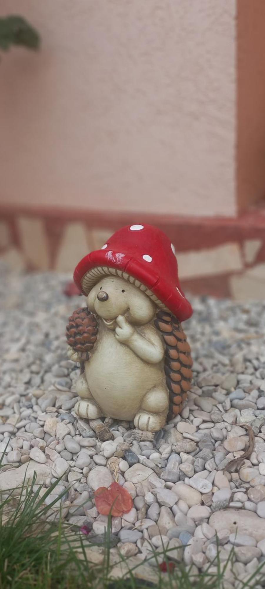 Noar Vlorë